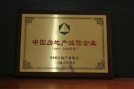 B1、中國(guó)房地產(chǎn)誠(chéng)信企業(yè)2005—2006年